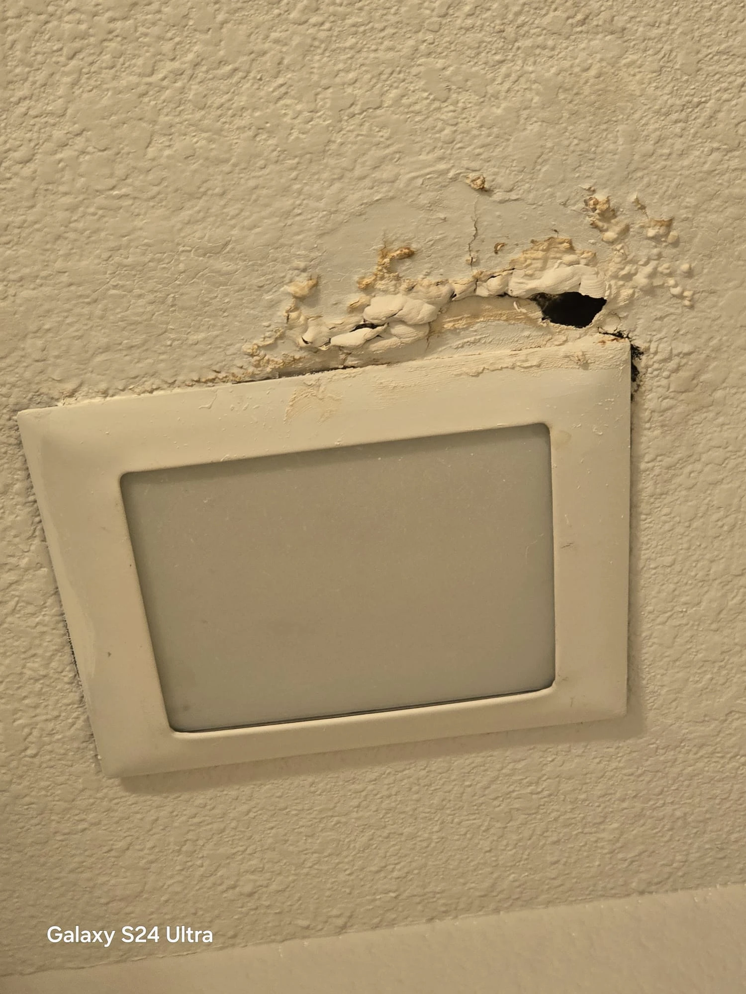 local-handyman-services