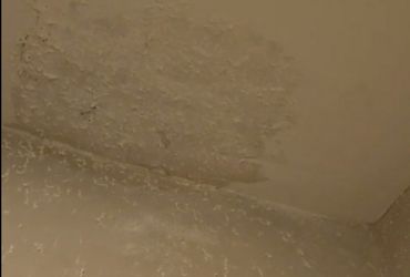 Painting and Flooring